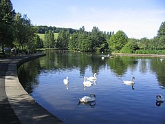 Gunknowe Loch, Tweedbank.jpg