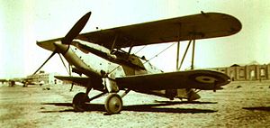 Hawker Nimrod El Amriya 1936.jpg
