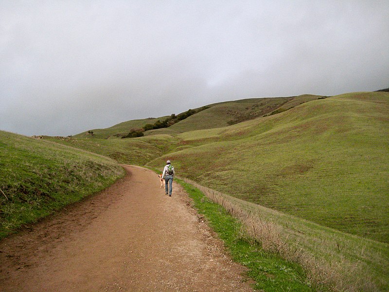 File:Heading Up The Trail (140437067).jpeg