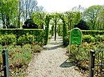 Heckengarten im Rosengarten in Ottensen