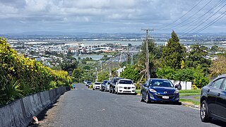 <span class="mw-page-title-main">Hillsborough, Auckland</span> Suburb of Auckland in Auckland Council, New Zealand
