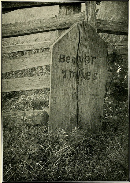 File:History of Beaver County, Pennsylvania and its centennial celebration, (1904) (14782208414).jpg