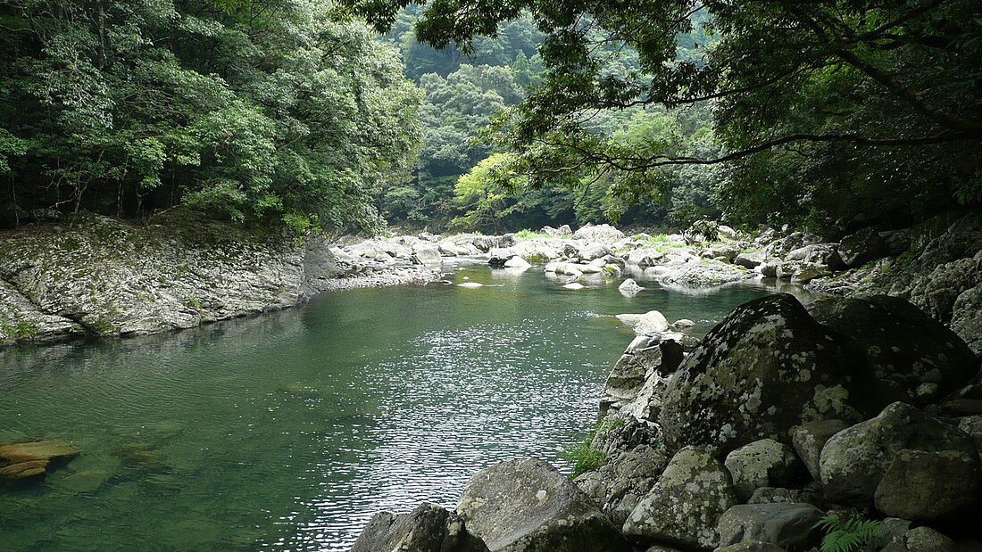 綾の照葉樹林