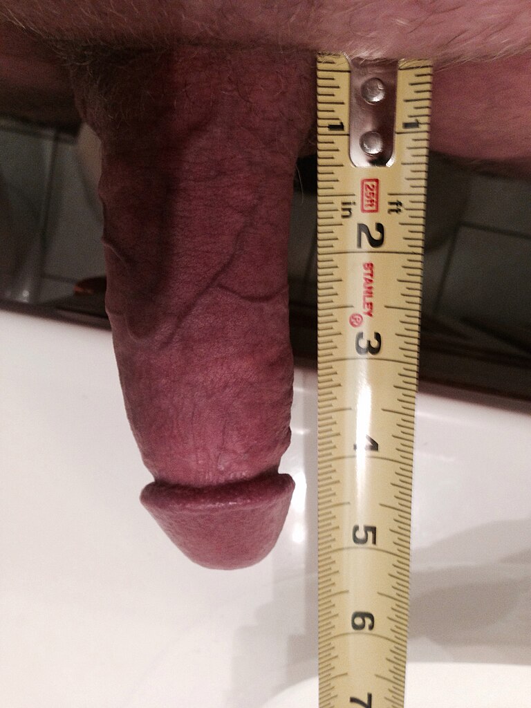 Average Penis Size Wiki 116