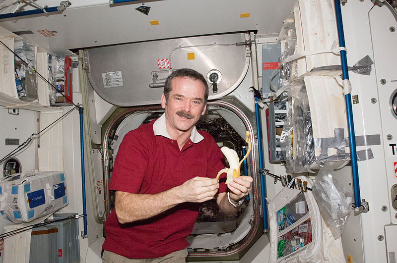 File:ISS-34 Chris Hadfield eats a fresh banana.jpg