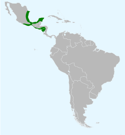 Distribución de I. gularis