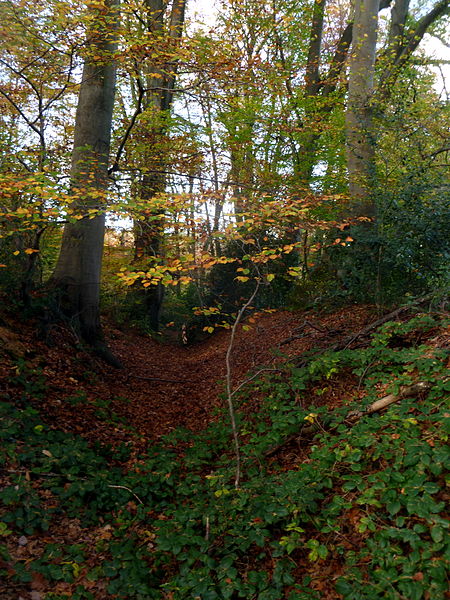 File:Innerer Landgraben Aachen - Ronheide.JPG