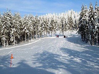 <span class="mw-page-title-main">Snow golf</span> Golf sport played over snow or ice