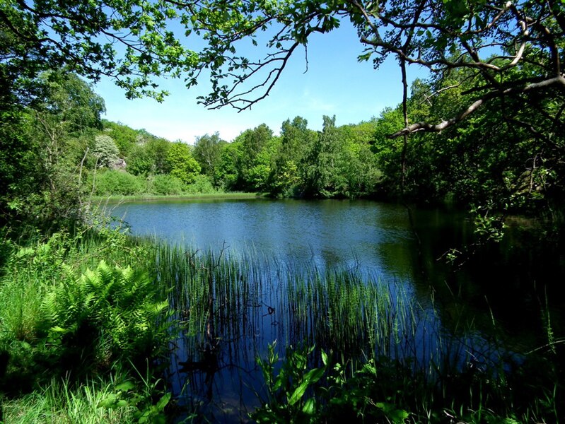 File:Jeziorko Gamle Dam - panoramio.jpg