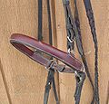 A Jumping Cavesson--a type of hackamore that allows a sport horse ridden in English style tack to be ridden without a bit in its mouth