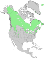 North American distribution