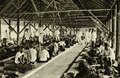 KITLV - 78329 - Kleingrothe, C.J. - Medan - Coolies sorting tobacco in a barn of the Amsterdam Deli Company in Medan, Sumatra - circa 1900.tif