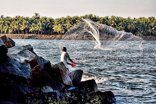 A fisherman casting a net in Kerala, India