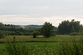 Кеж (Лидзбарк Варминьский)