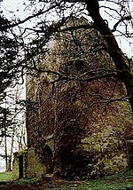 Thumbnail for Kilmahew Castle