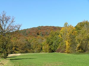 Kirnberg vanuit het zuiden