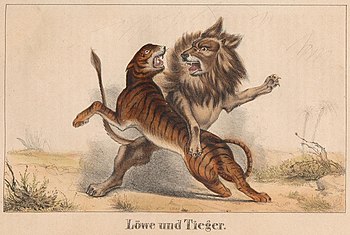 Tafelbild „Löwe und Tieger“, Jugend-Album, 1850.