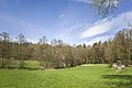 * Nomination "Wet grassland at the Kammerholz" protected landscape element near Birnfeld --Plozessor 03:54, 2 June 2024 (UTC) * Promotion  Support Good quality. --Johann Jaritz 03:59, 2 June 2024 (UTC)