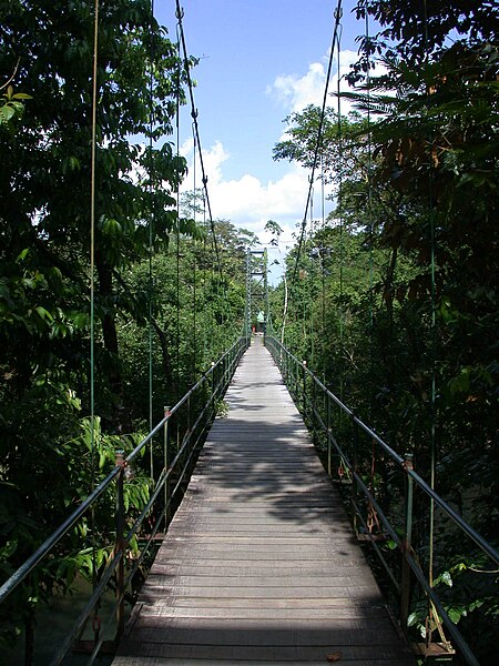 File:La Selva Biological Station1.jpg