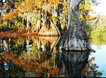 Thumbnail for Chicot State Park