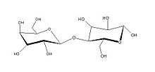Laktoos on disahhariid, mis koosneb galaktoosist ja glükoosist, mis on omavahel ühendatud β-1→4 glükosiidsidemega.
