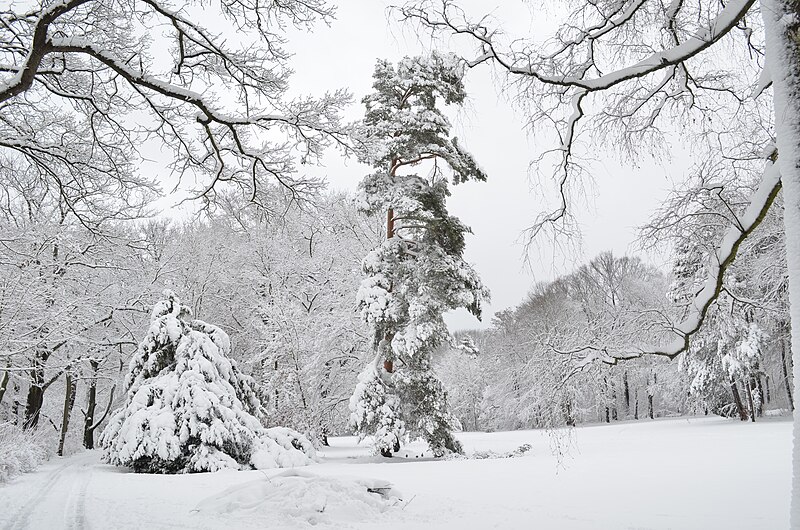 File:Lebenswertes chemnitz winter stadtpark schnee rundblick 2.jpg