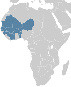 Afrika kıtası içerisinde Fransız Batı Afrikası'nın yeri (mavi bölge)