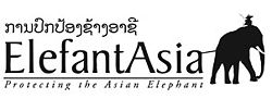 Logo elefantasia.jpg