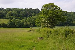 Looking towards Dawcombe - geograph.org.uk - 869955.jpg