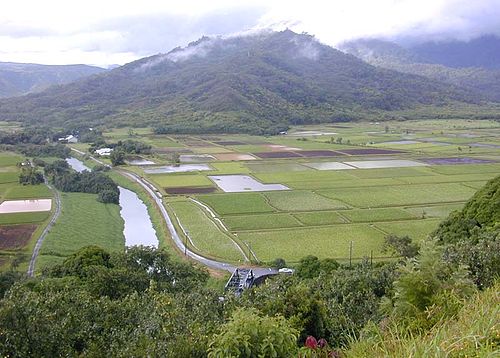 Hanalei River things to do in Kauai County