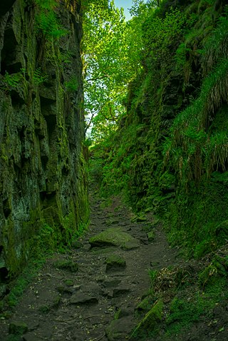 <span class="mw-page-title-main">Lud's Church</span> Rocky chasm in Englands Peak District