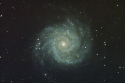 M74 a spiral galaxy in pisces