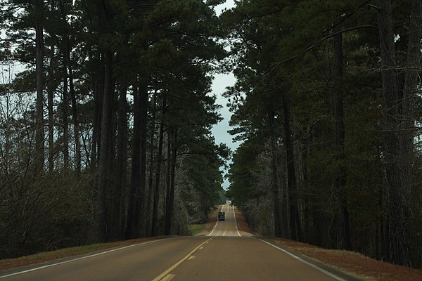 MS 33 inside the Homochitto National Forest near Fayette