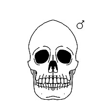 A black and white drawing of a male skull.