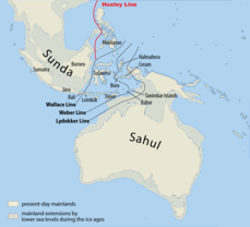 Map of Sunda and Sahul 2.png