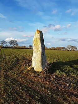 Menhirs du Clandy makalesinin açıklayıcı görüntüsü