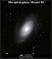 Messier 081 2MASS.jpg