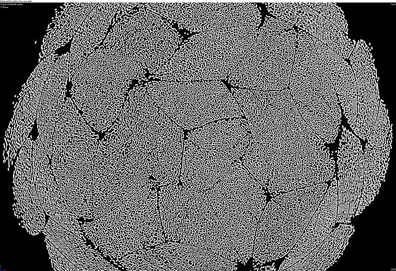 File:Micro-CT braided polymer rope 2D top view zoom.jpg