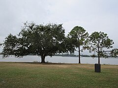 Mississippi River at Audubon Park, New Orleans, 17 October 2022 - 01.jpg
