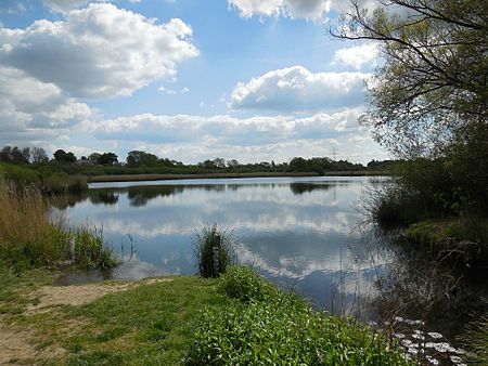 Moenkeberger See 2014