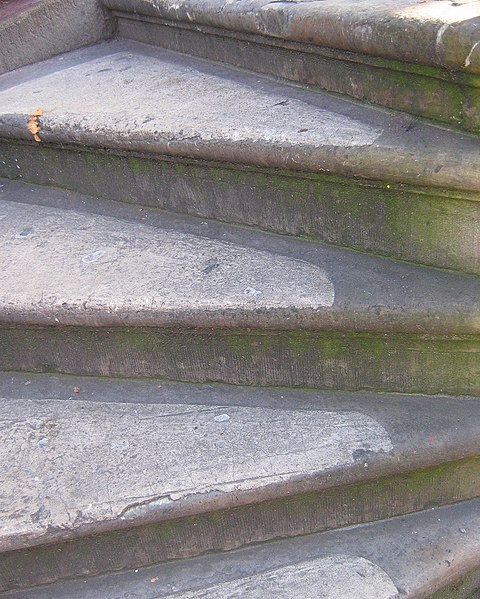 File:Mossy staircase steps.jpg