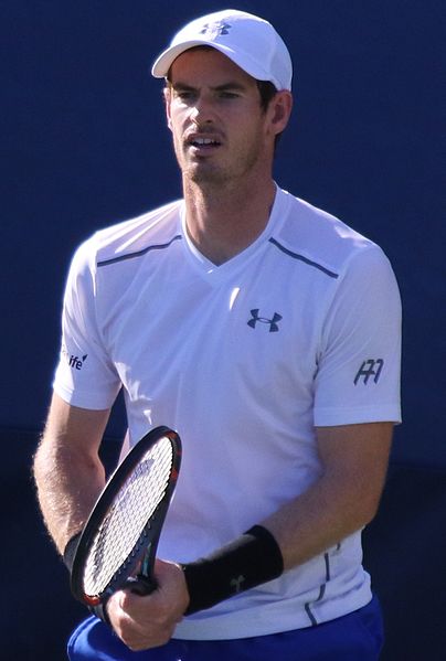 Andy Murray finished the year as world No. 1 for the first time in his career. He won nine tournaments during the season, including a major at the Wim