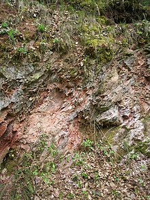 Milonite maruziyeti, Serre masifinin (Jura, Fransa) kuzey-batısından güneybatısına görünüm. K 45 ° D - 35 ° KB eğimine sahip yapraklanmayı görebiliriz.