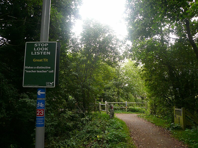 File:National Cycle Route 23 Great Tit notice.JPG