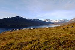 Der Norðfjörður und Neskaupstaður im Herbst