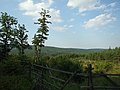 Čeština: Příroda v Chráněné krajinné oblasti Křivoklátsko v okolí Hudlic, Nižbora a Žloukovic nápověda English: CHKO Křivoklátsko protected landscape area near villages of Hudlice, Nižbor and Žloukovice in Central Bohemian region, CZ help