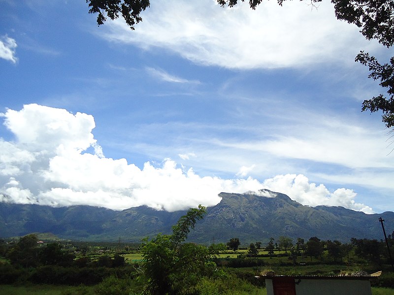 File:Nilgiri-Blue Hills.jpg