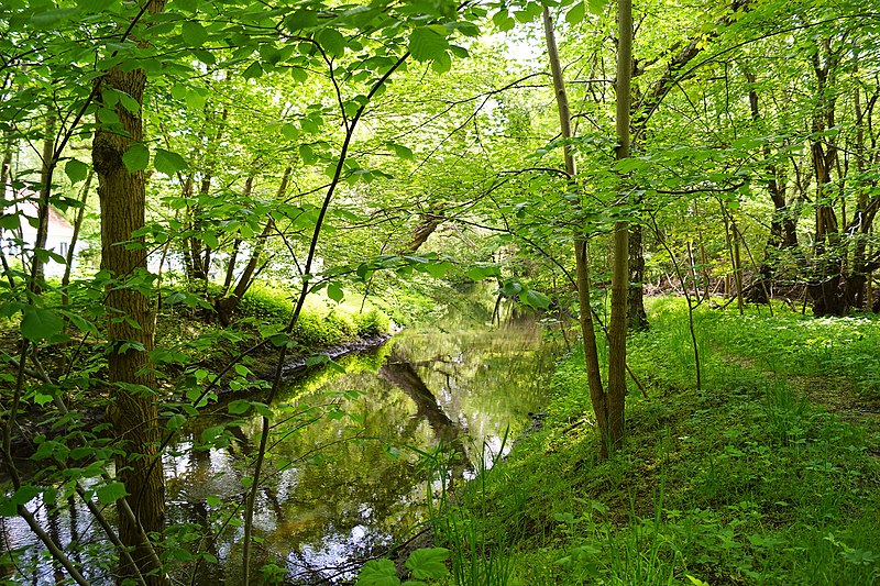 File:Nivå ved Nivågård Teglværk.jpg