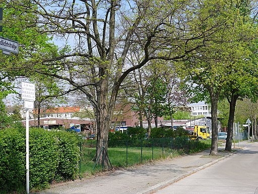 Nordlichtstraße (Berlin-Reinickendorf)