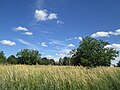 Vignette pour O'Leary (Île-du-Prince-Édouard)